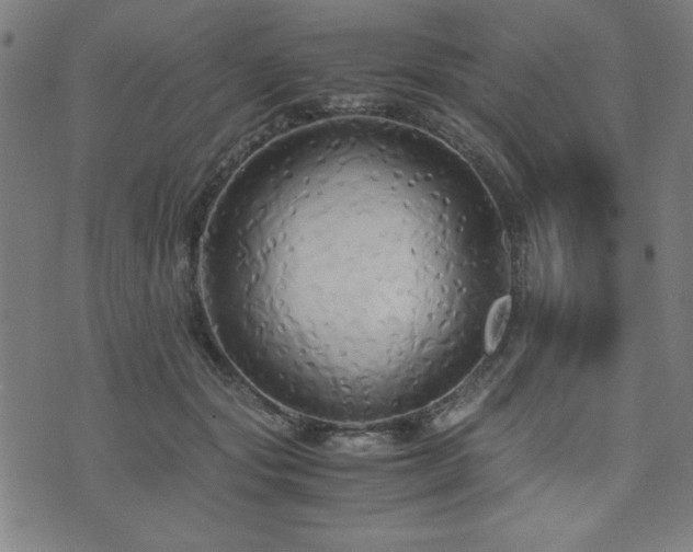 X0000075890557200609151349
