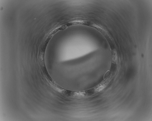 X0000075890573200609151349