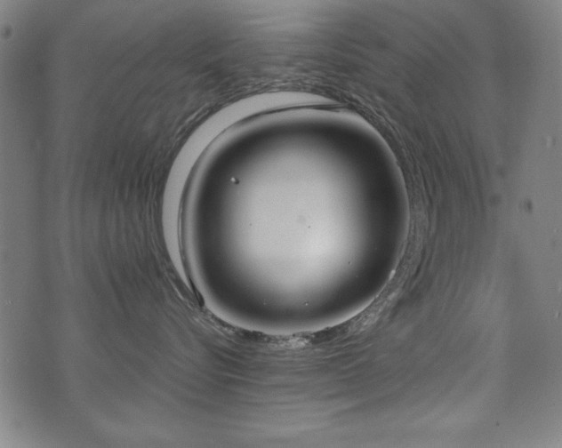 X0000075890576200609151349
