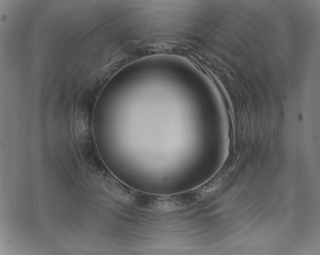 X0000075890608200609151348