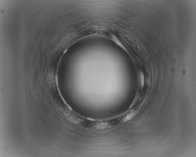 X0000075890609200609151348