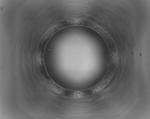 X0000075890612200609151348