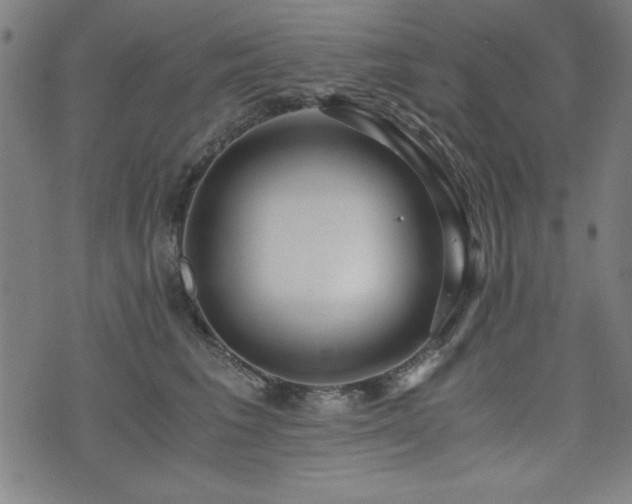 X0000075890613200609151348