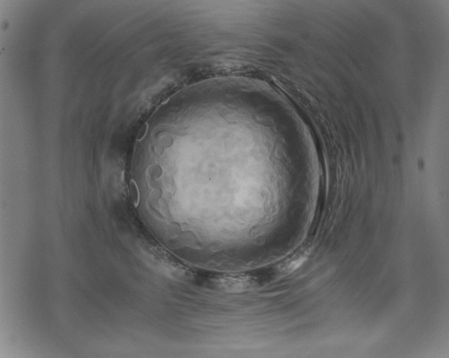 X0000075890615200609151347