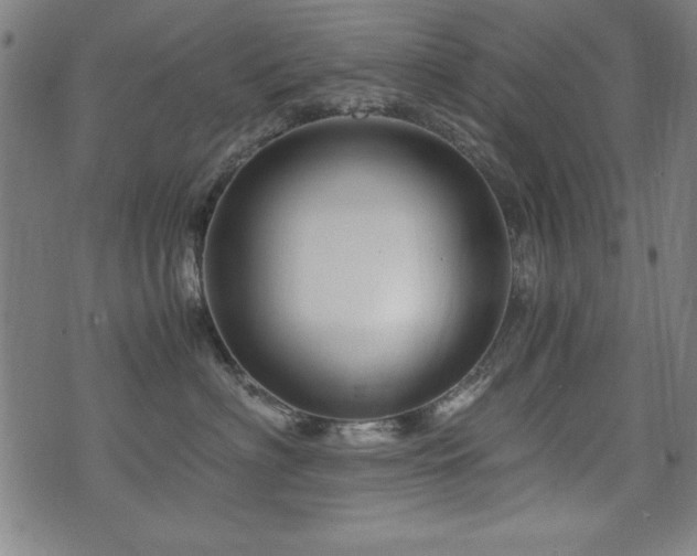 X0000075890622200609151347