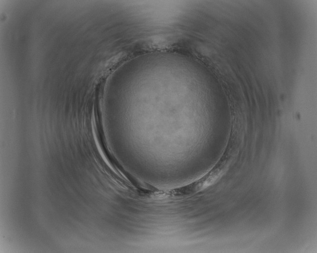 X0000075890624200609151347