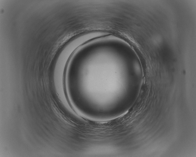 X0000075890631200609151347