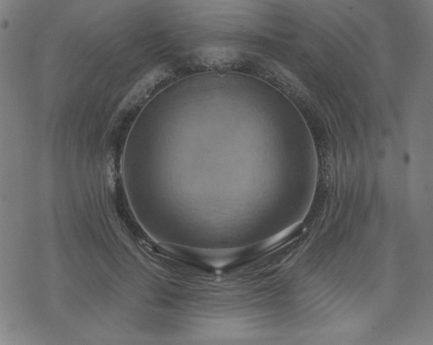 X0000075890644200609151347