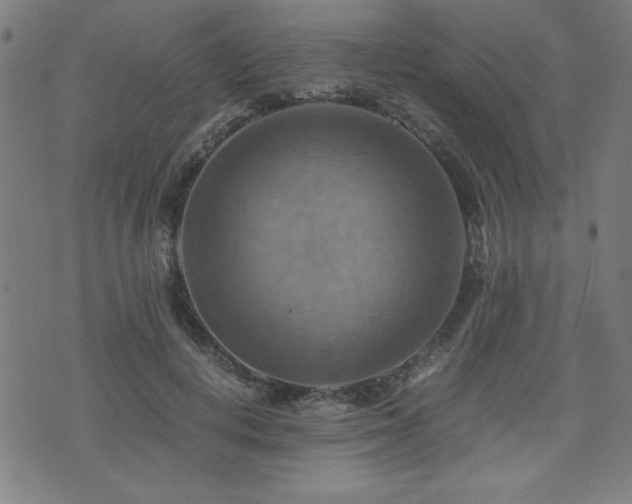 X0000075890648200609151347