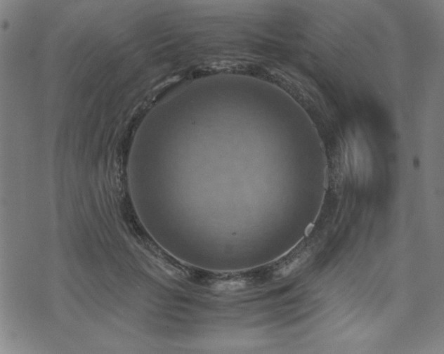 X0000075890653200609151347