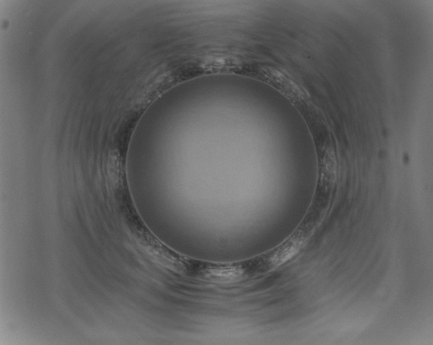 X0000075890659200609151347