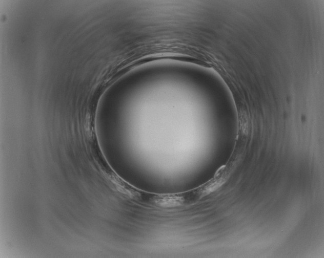 X0000075890670200609151347