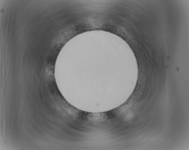 X0000075890672200609151347