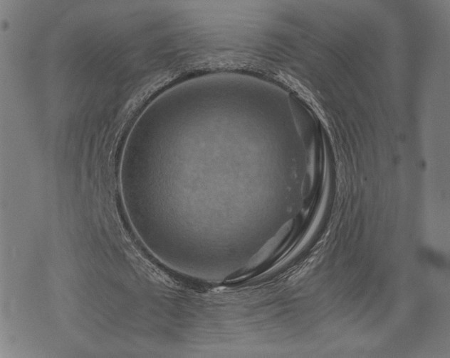 X0000075890673200609151347