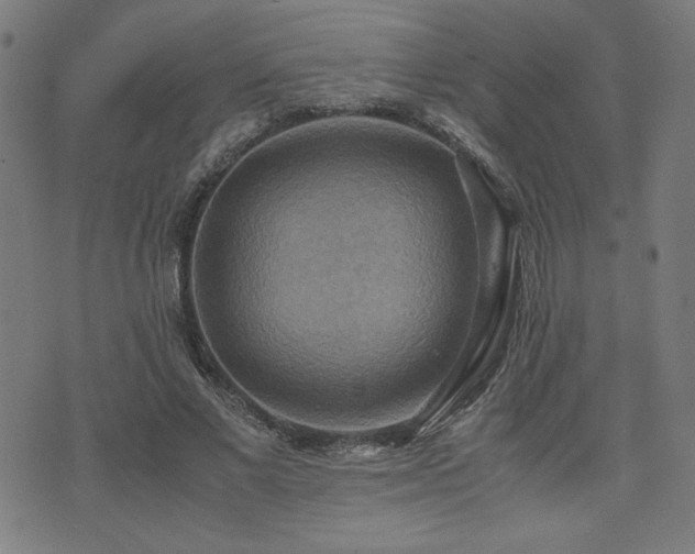 X0000075890685200609151346