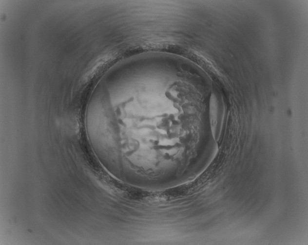 X0000075890687200609151346