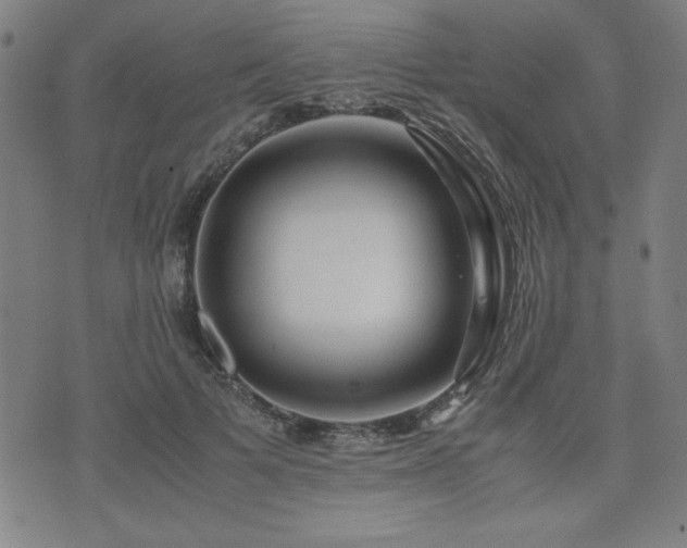 X0000075890697200609151346