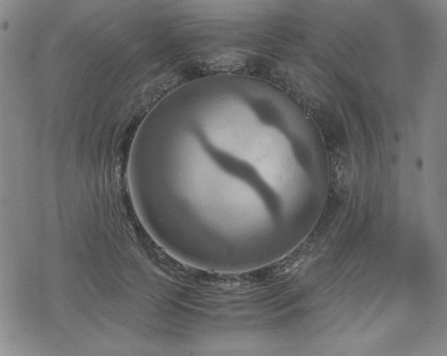 X0000075890745200609151345