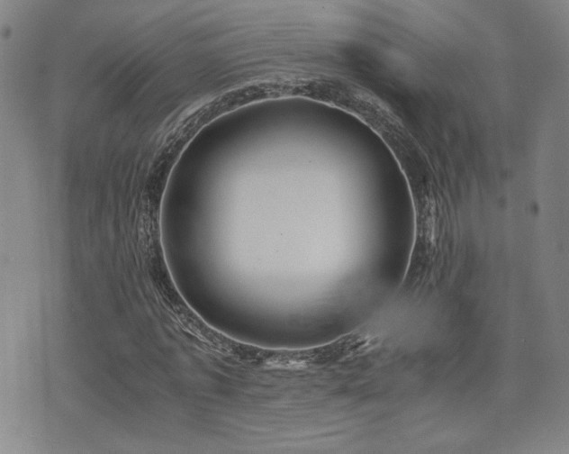 X0000075890773200609151345