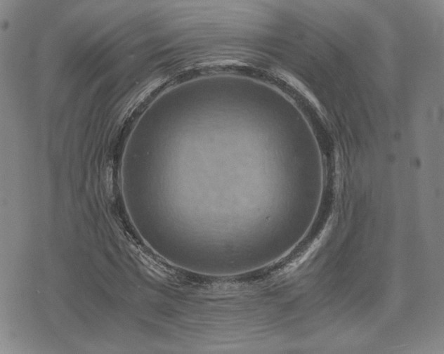 X0000075890777200609151345