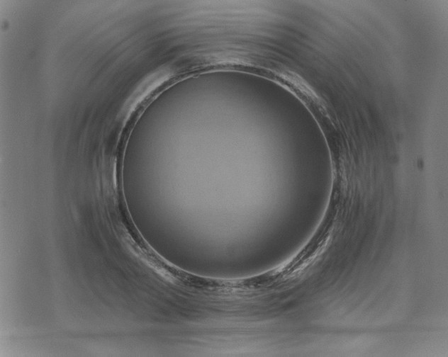 X0000075890790200609151345