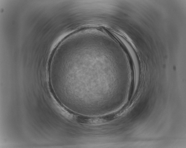 X0000075890795200609151345