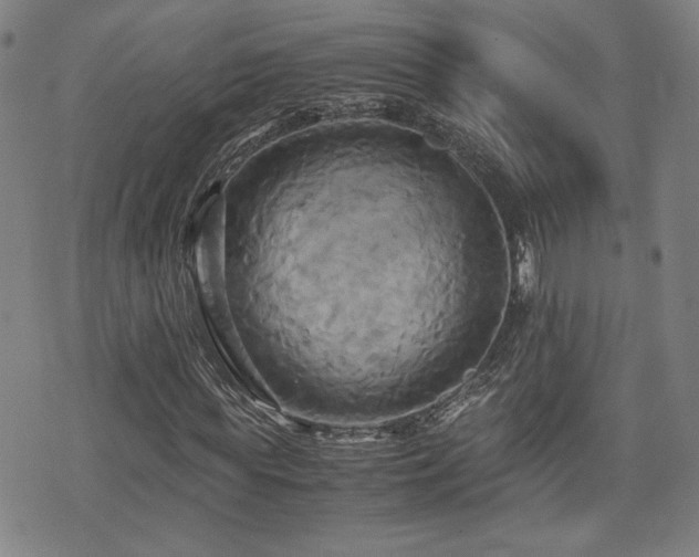 X0000075890819200609151343