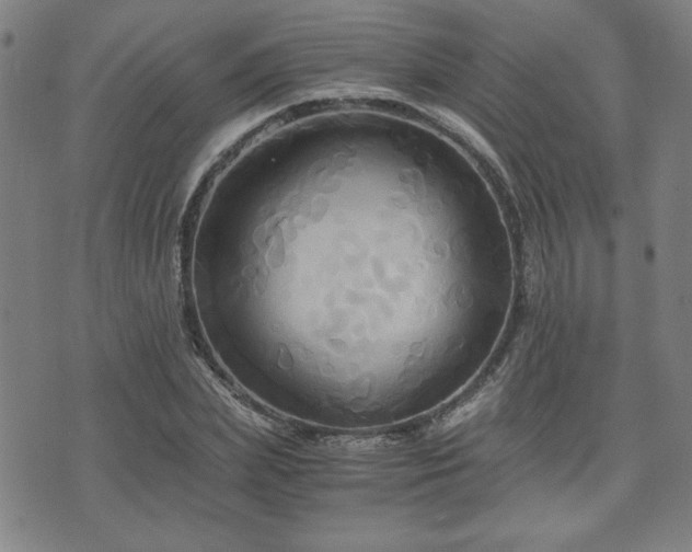 X0000075890831200609151344