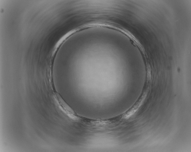 X0000075890862200609151344