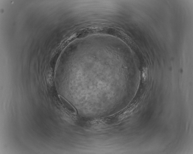 X0000075890867200609151343