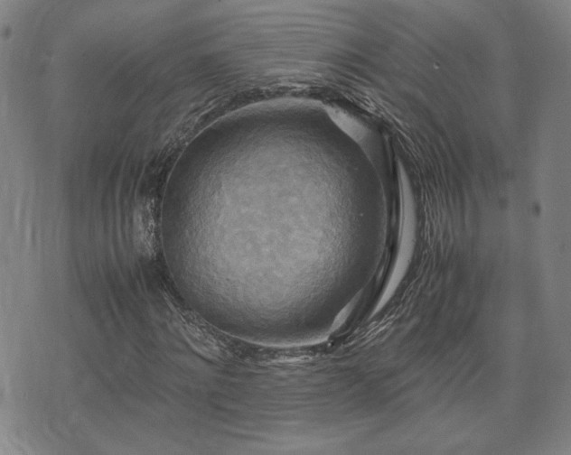X0000075890868200609151343