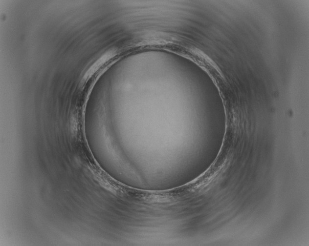 X0000075890874200609151343