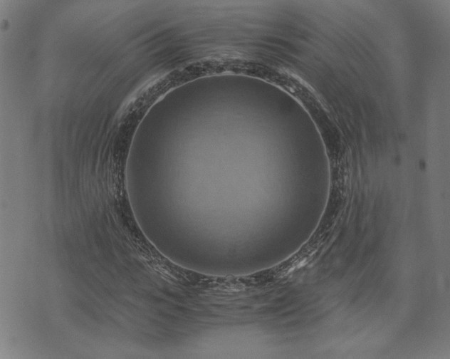 X0000075890919200609151342