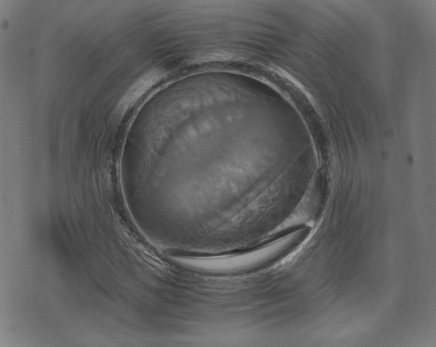 X0000075890921200609151342