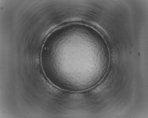 X0000075890929200609151342