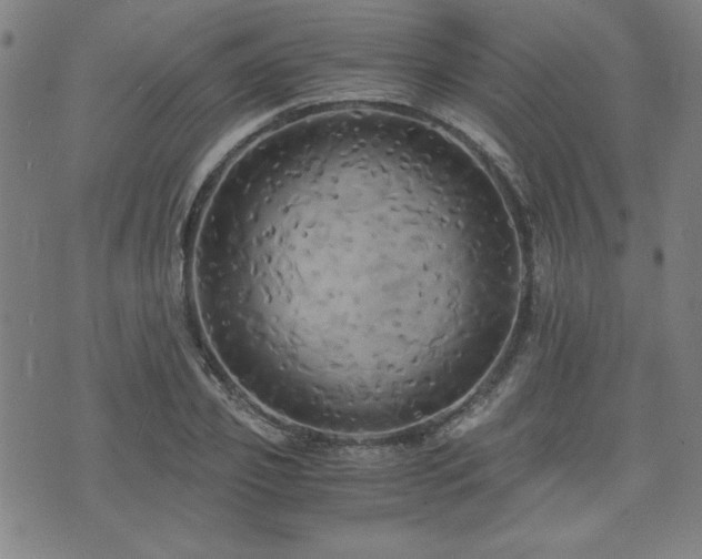 X0000075890933200609151342