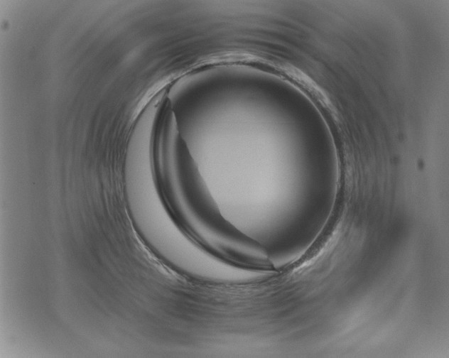 X0000075890945200609151342