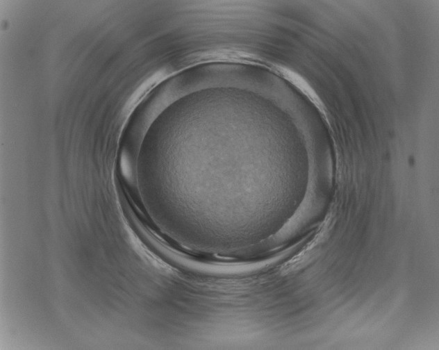 X0000075890946200609151342