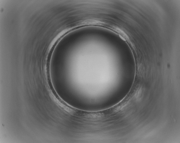 X0000075890947200609151342