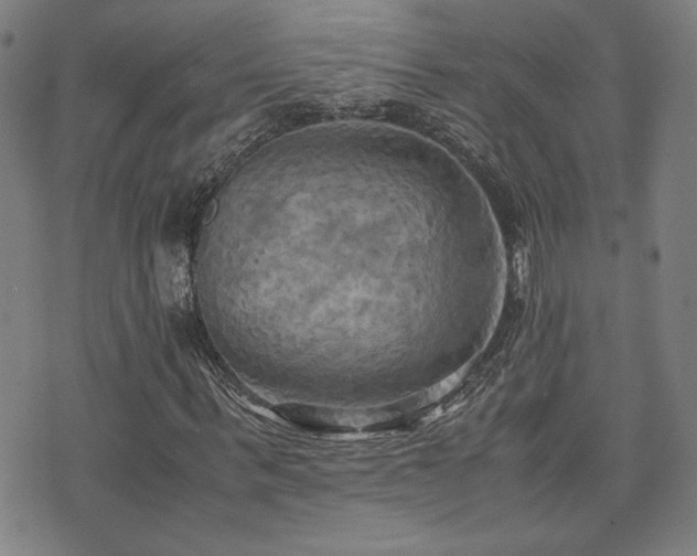 X0000075890963200609151342