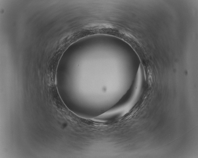 X0000075890965200609151342