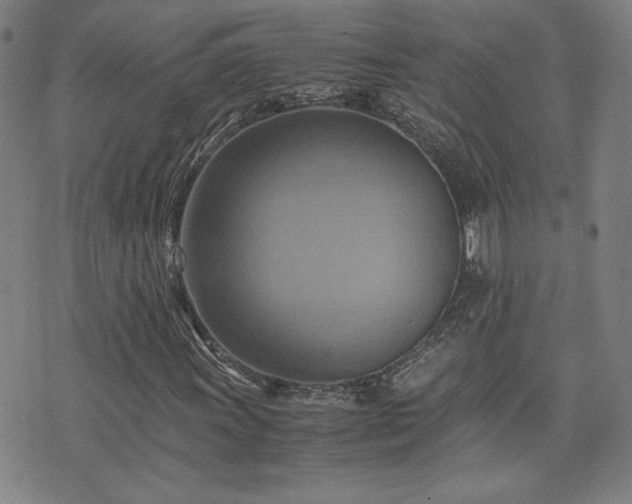 X0000075891011200609151340