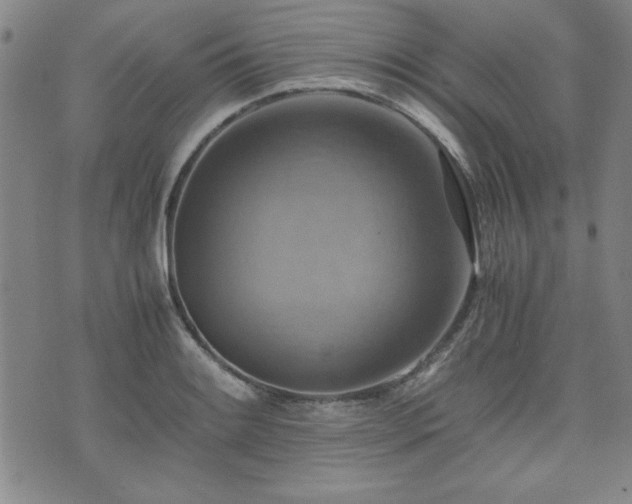 X0000075891084200609151340