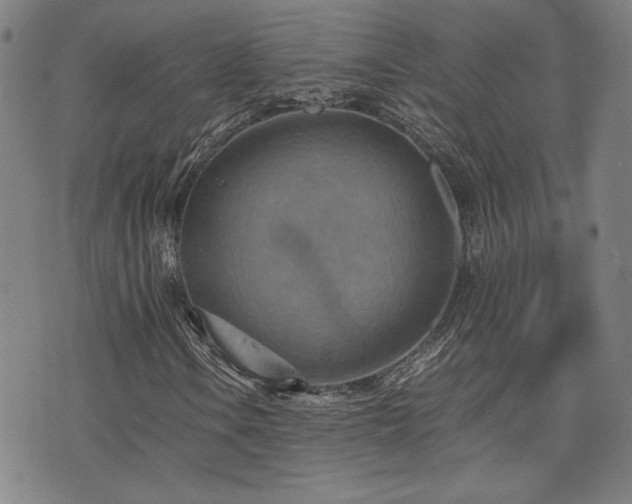 X0000075891106200609151339