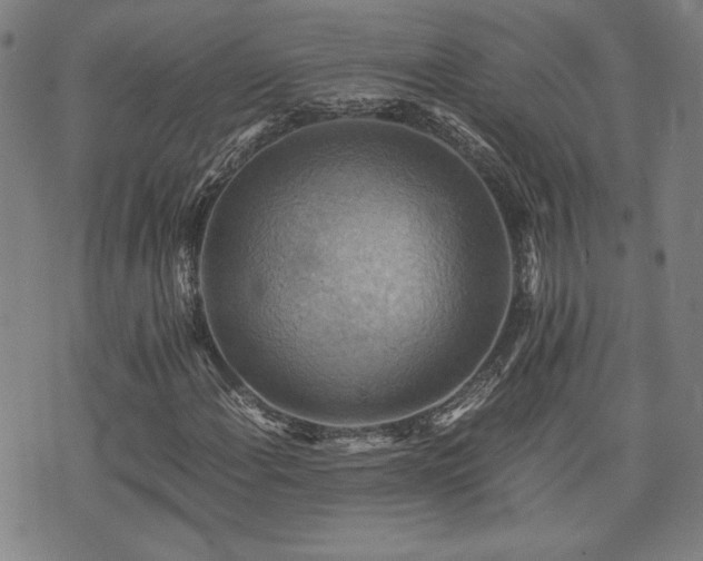 X0000075891108200609151339