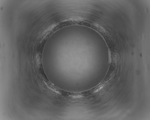 X0000075891110200609151339