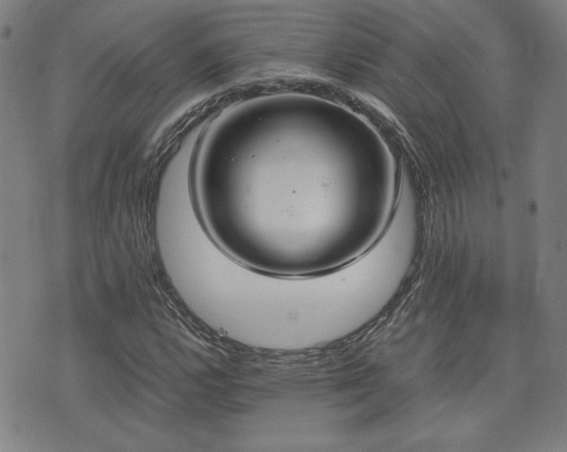 X0000075891112200609151339