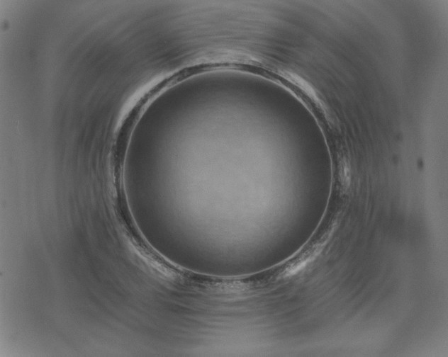 X0000075891120200609151339