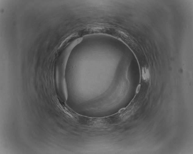 X0000075891155200609151339