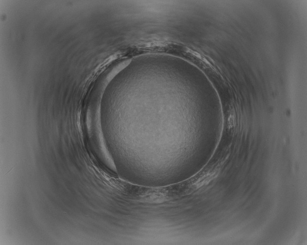 X0000075891156200609151339